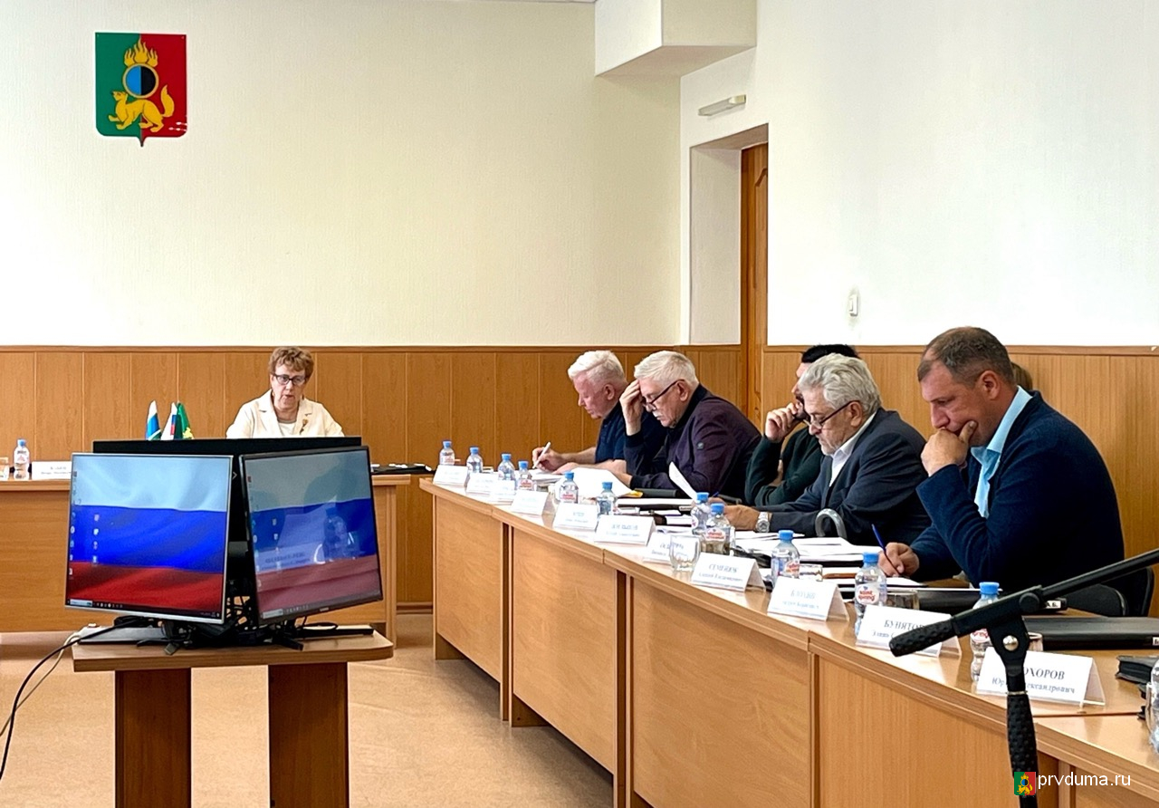 Депутаты заслушали информацию о деятельности территориальной комиссии по делам несовершеннолетних и защите их прав