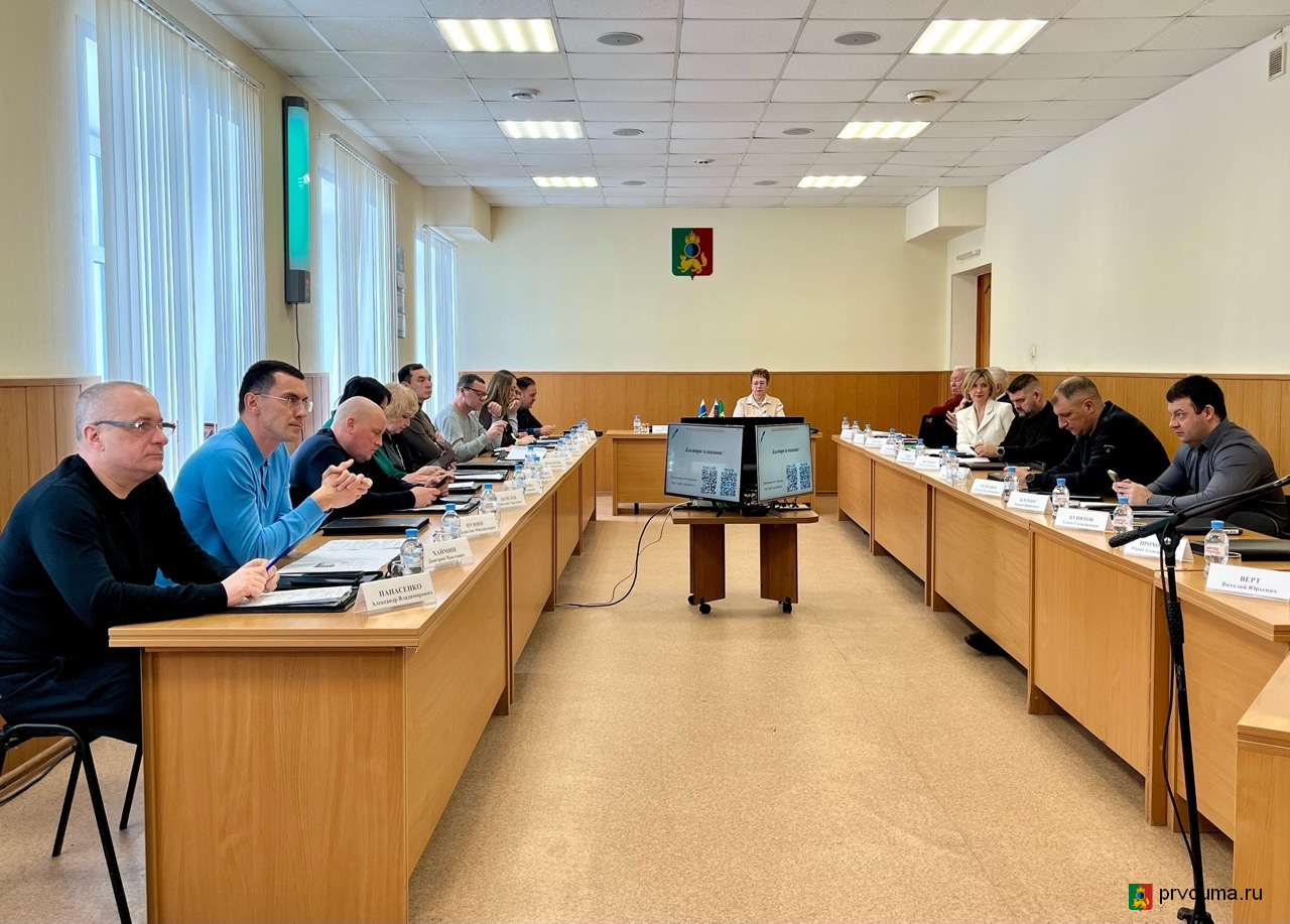 В городской Думе состоялось заседание комитетов