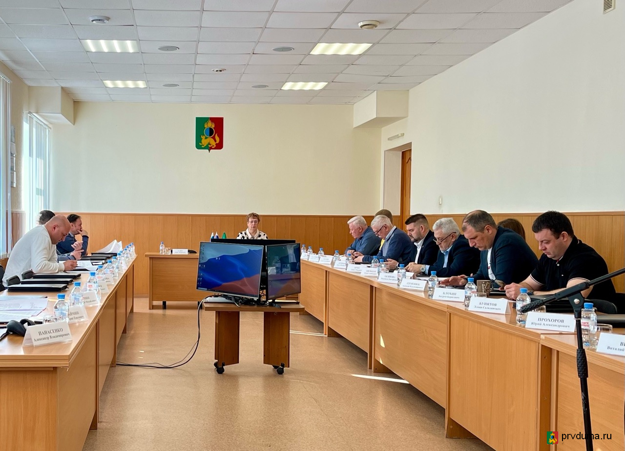 В городской Думе состоялось заседание комитетов