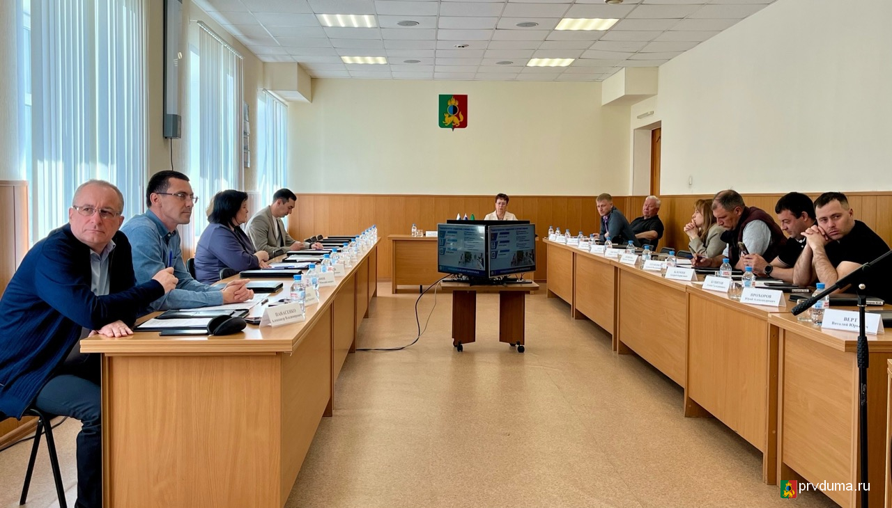 В городской Думе состоялось заседание комитетов